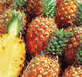 太全了 2019海南水果上市时间表, 一年四季都有水果吃 有你爱吃的吗